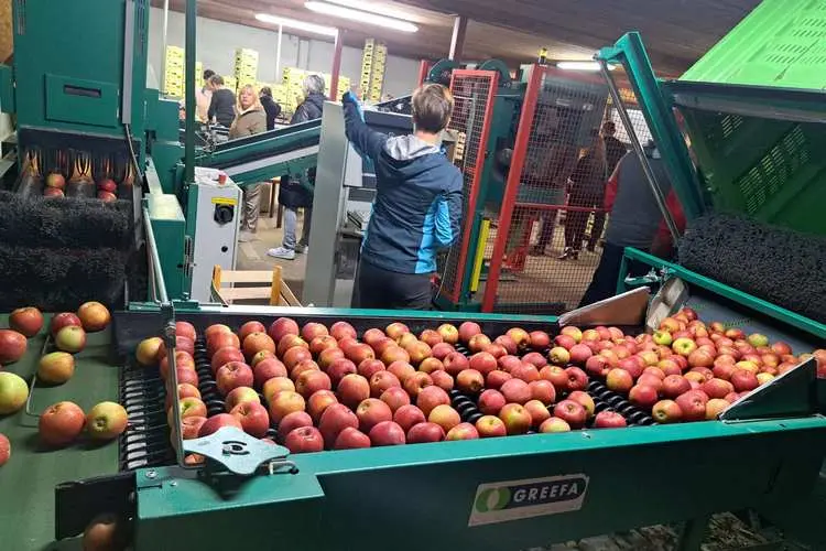 Farmers as Ambassadors of Šumadija – Reception with the Mayor After the Visit to Slovenia Farmers as Ambassadors of Šumadija – Reception with the Mayor After the Visit to Slovenia