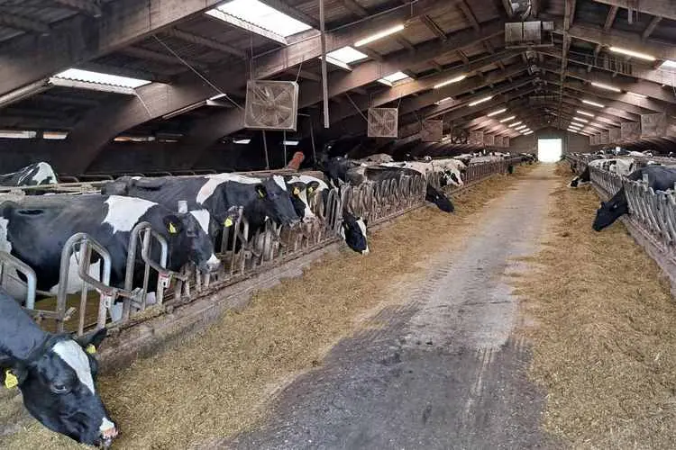 Farmers as Ambassadors of Šumadija – Reception with the Mayor After the Visit to Slovenia Farmers as Ambassadors of Šumadija – Reception with the Mayor After the Visit to Slovenia