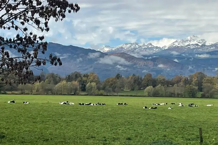 Farmers as Ambassadors of Šumadija – Reception with the Mayor After the Visit to Slovenia Farmers as Ambassadors of Šumadija – Reception with the Mayor After the Visit to Slovenia
