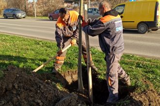 U akciji pošumljavanja SBB fondacije - za grad Kragujevac 830 sadnica stabala