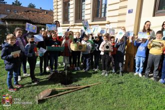 У дворишту ОШ Радоје Домановић посађено још једно дрво генерације