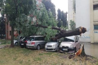 Gradonačelnik Nikola Dašić obišao posle nevremena najkritičnije tačke u Kragujevcu