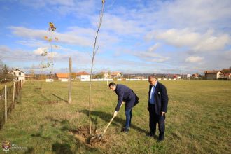 Stadion FK Divostin i dvorište OŠ „Jovan Popović“ u Šumaricama oplemenjeni sadnicama platana