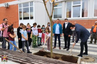 Novo stablo u dvorištu OŠ ''Milutin i Draginja Todorović''